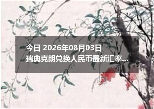 今日 2026年08月03日 瑞典克朗兑换人民币最新汇率行情