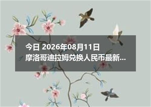 今日 2026年08月11日 摩洛哥迪拉姆兑换人民币最新汇率行情
