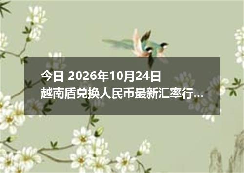 今日 2026年10月24日 越南盾兑换人民币最新汇率行情