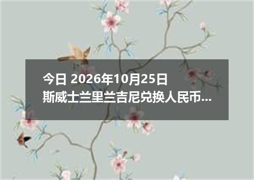 今日 2026年10月25日 斯威士兰里兰吉尼兑换人民币最新汇率行情
