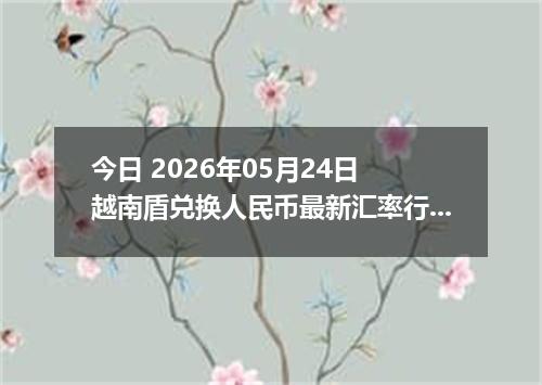 今日 2026年05月24日 越南盾兑换人民币最新汇率行情
