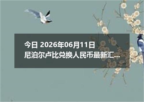 今日 2026年06月11日 尼泊尔卢比兑换人民币最新汇率行情