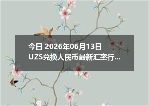 今日 2026年06月13日 UZS兑换人民币最新汇率行情