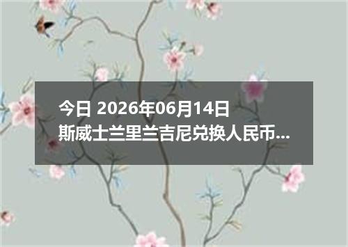 今日 2026年06月14日 斯威士兰里兰吉尼兑换人民币最新汇率行情