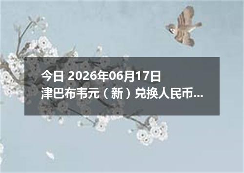 今日 2026年06月17日 津巴布韦元（新）兑换人民币最新汇率行情