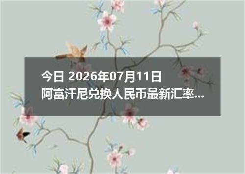 今日 2026年07月11日 阿富汗尼兑换人民币最新汇率行情